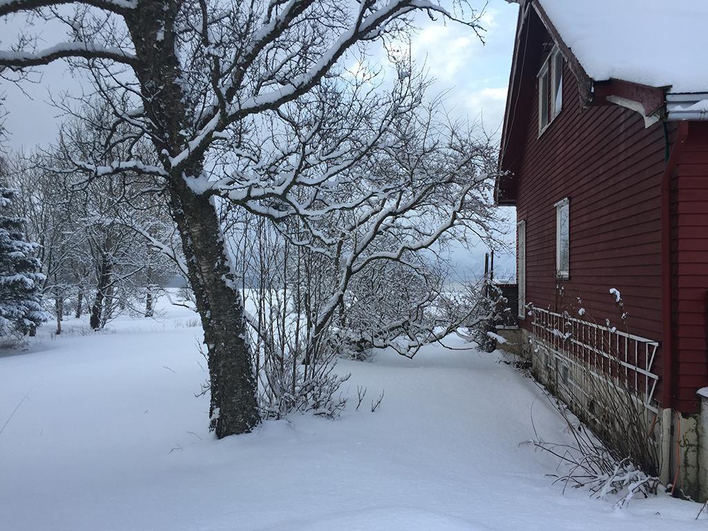 Bo Huset Guest House Sortland Exterior foto