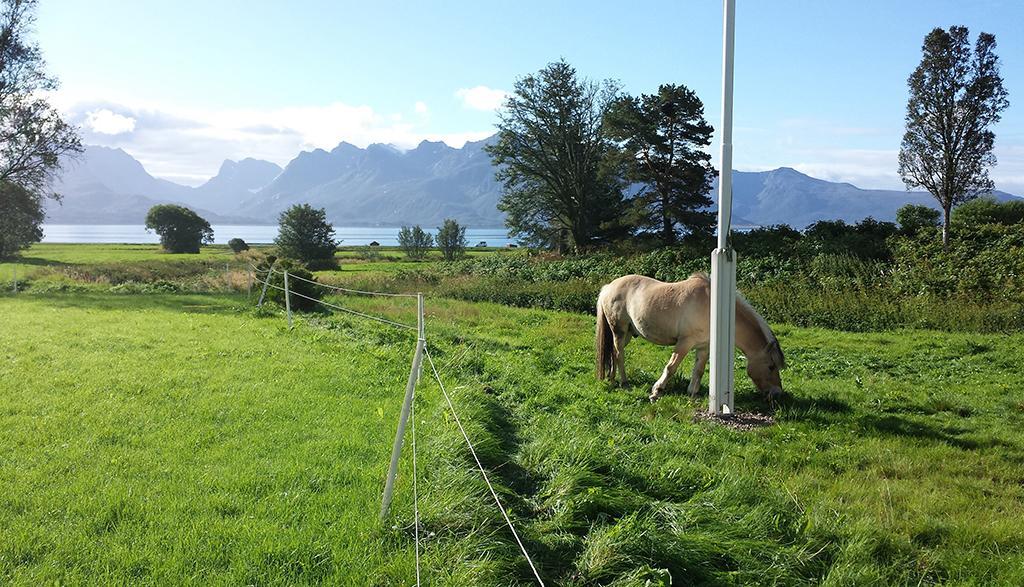 Bo Huset Guest House Sortland Exterior foto